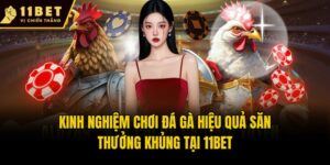 Kinh Nghiệm Chơi Đá Gà Hiệu Quả Săn Thưởng Khủng Tại 11bet
